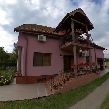 Pensiunea Oana Hotel Bályok Kültér fotó