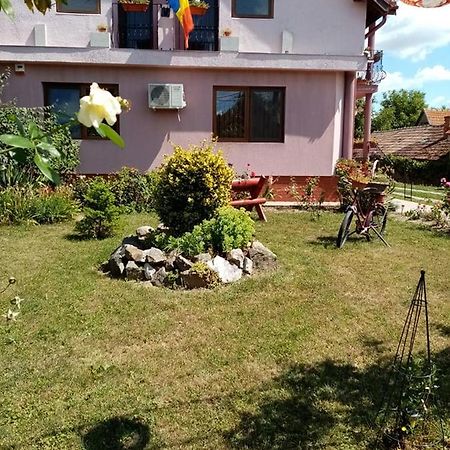 Pensiunea Oana Hotel Bályok Kültér fotó