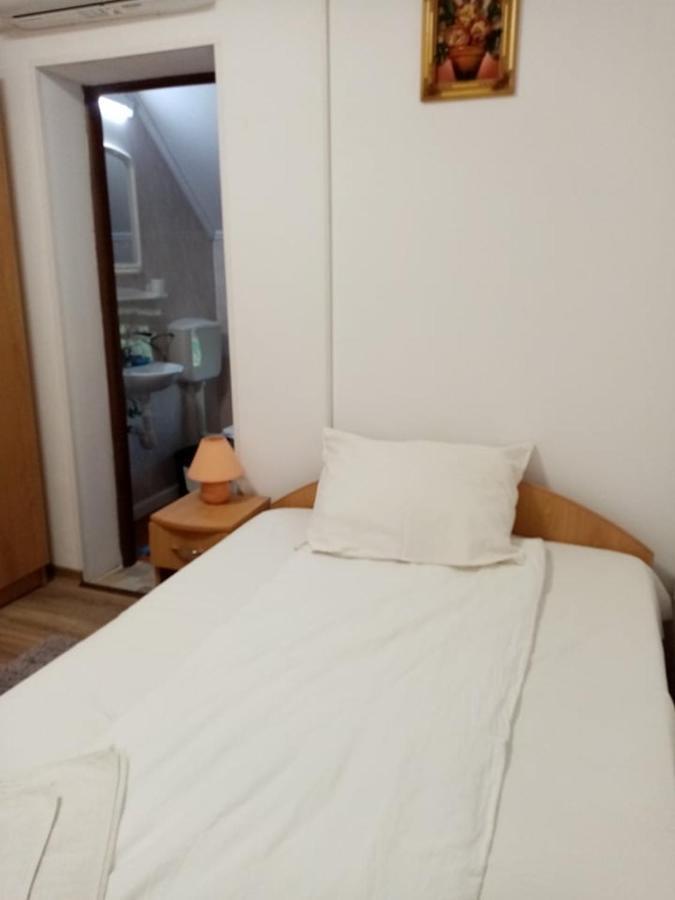 Pensiunea Oana Hotel Bályok Kültér fotó