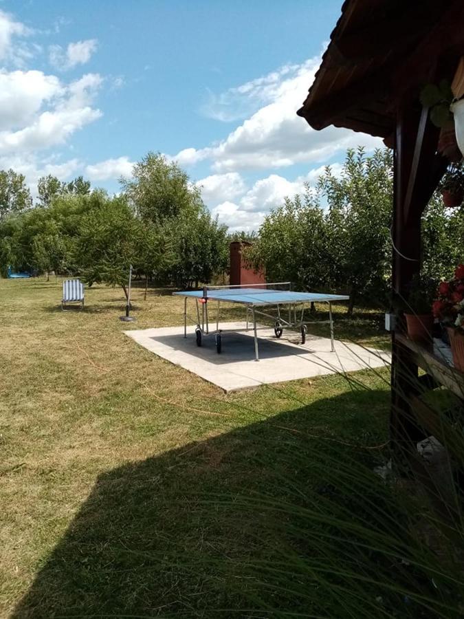 Pensiunea Oana Hotel Bályok Kültér fotó