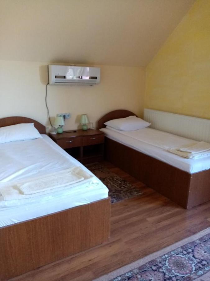 Pensiunea Oana Hotel Bályok Kültér fotó