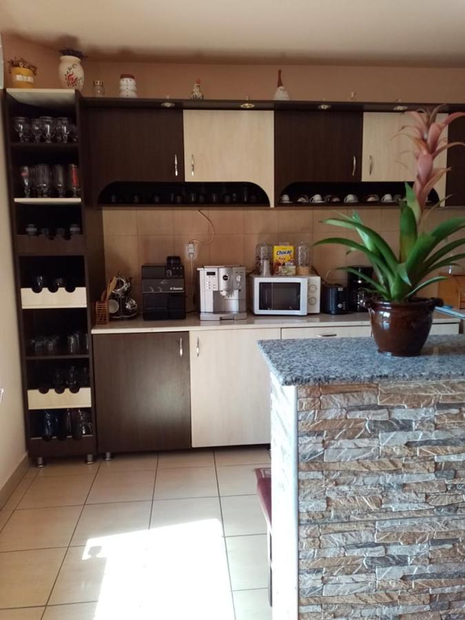 Pensiunea Oana Hotel Bályok Kültér fotó