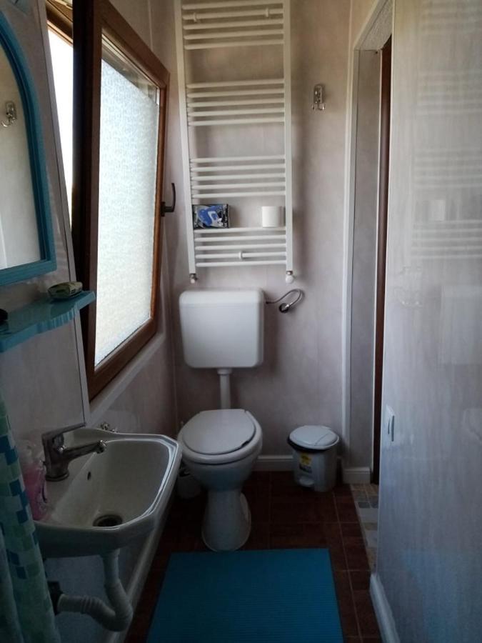 Pensiunea Oana Hotel Bályok Kültér fotó