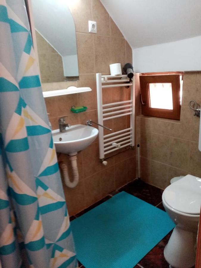 Pensiunea Oana Hotel Bályok Kültér fotó