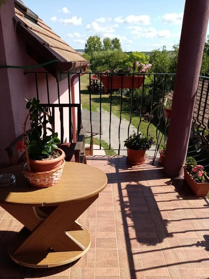Pensiunea Oana Hotel Bályok Kültér fotó