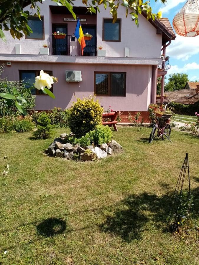 Pensiunea Oana Hotel Bályok Kültér fotó