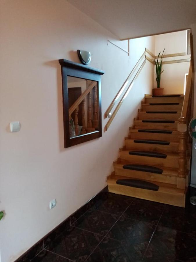 Pensiunea Oana Hotel Bályok Kültér fotó