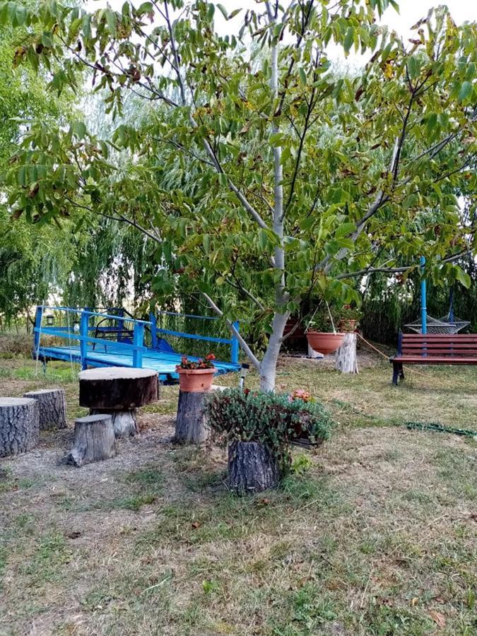 Pensiunea Oana Hotel Bályok Kültér fotó
