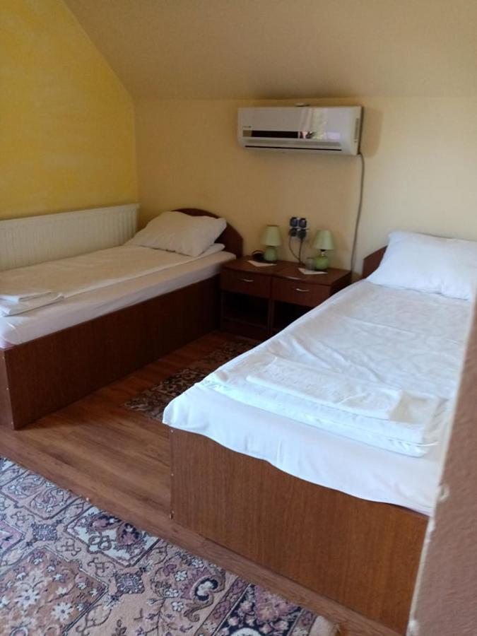 Pensiunea Oana Hotel Bályok Kültér fotó