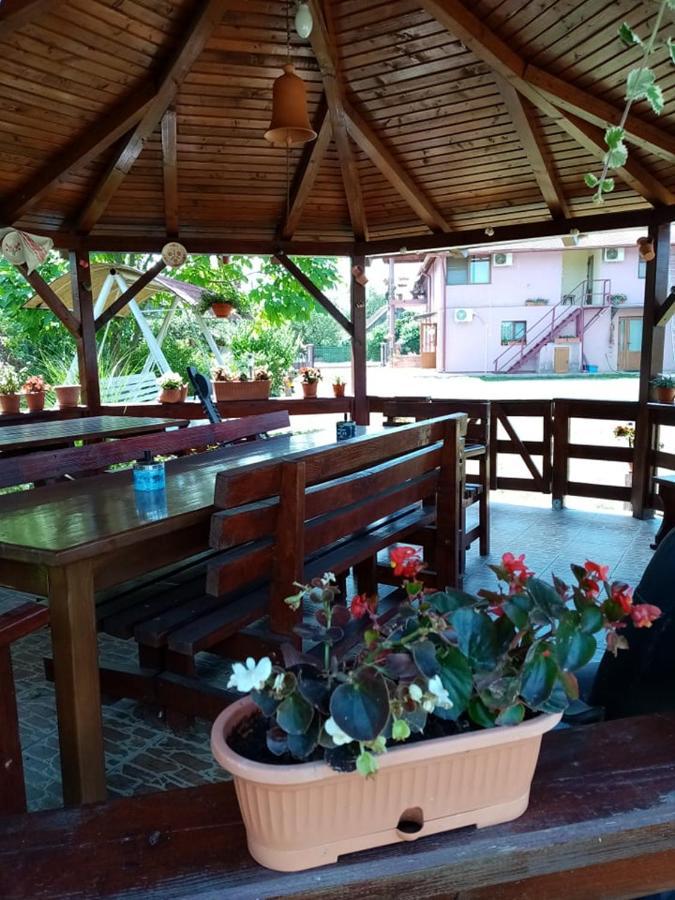 Pensiunea Oana Hotel Bályok Kültér fotó