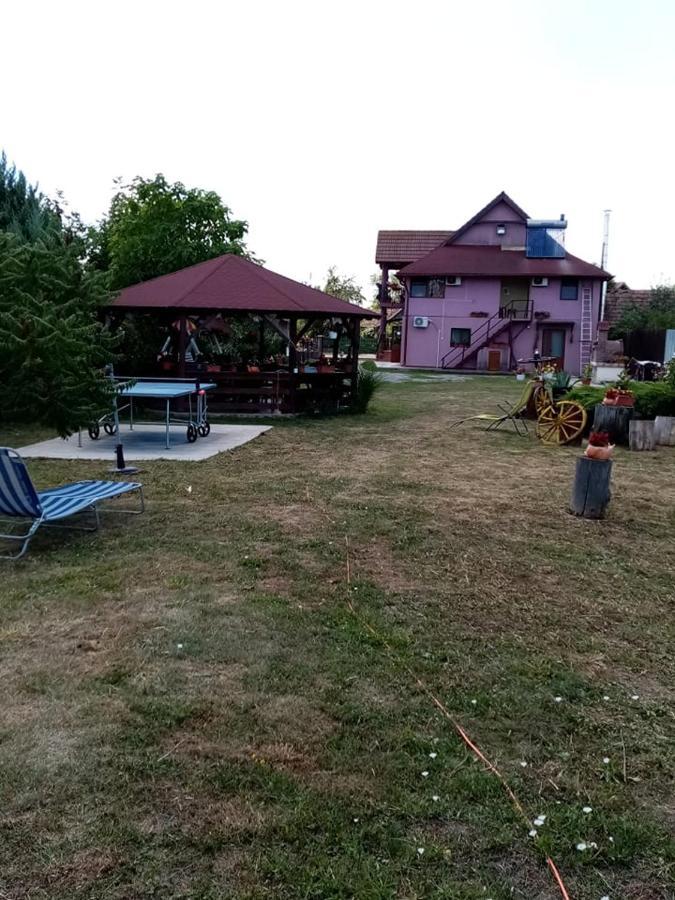 Pensiunea Oana Hotel Bályok Kültér fotó