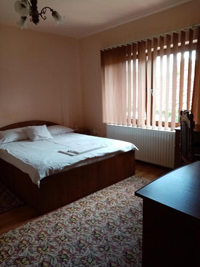 Pensiunea Oana Hotel Bályok Kültér fotó